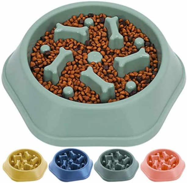 Slow Feeder Dog bowel